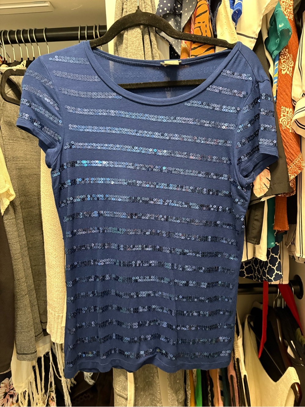 Ann Taylor Blue Sequin-Stripes Short Sleeve Top